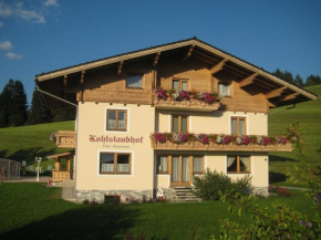Apartments Spiegl Holzmann, Bischofshofen, Österreich